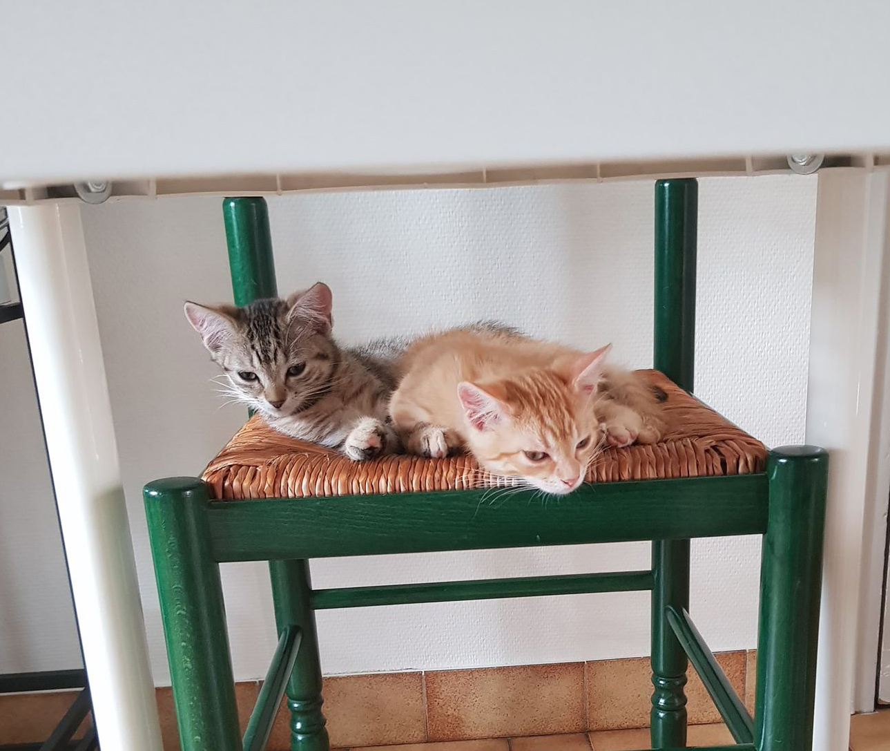 Flany et Tigrou chaise