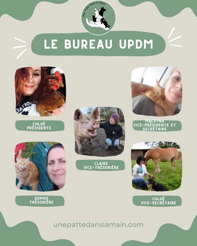 Bureau des membres de l'association