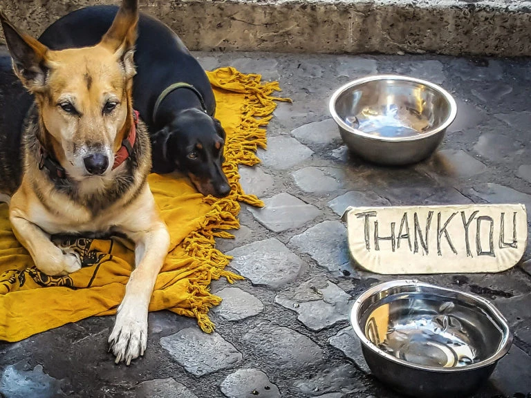 Faire un don financier