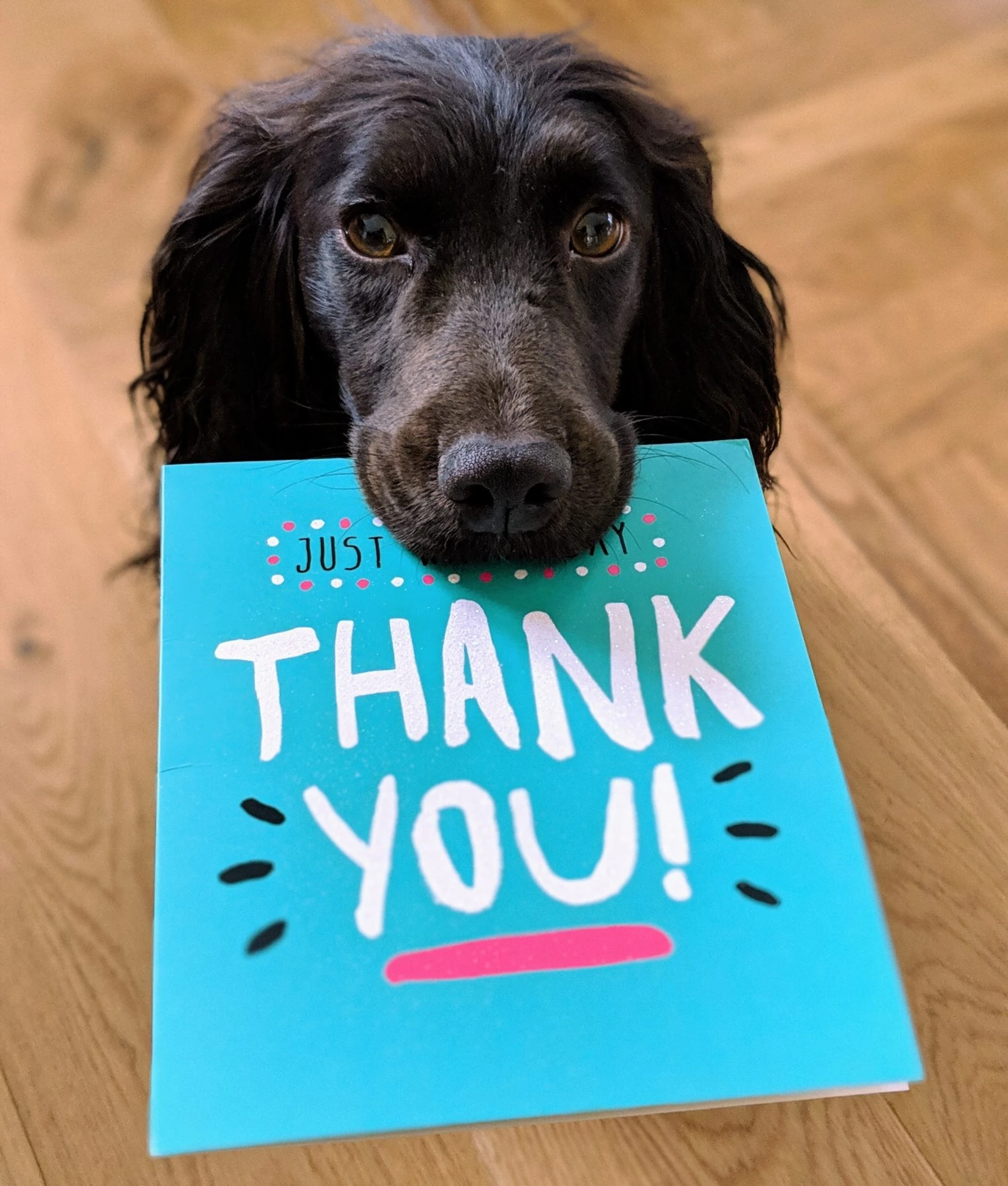 Bon de parrainge idée de cadeau