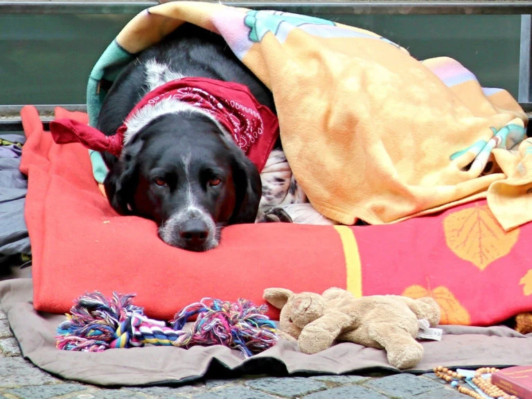 Faire un don matériel