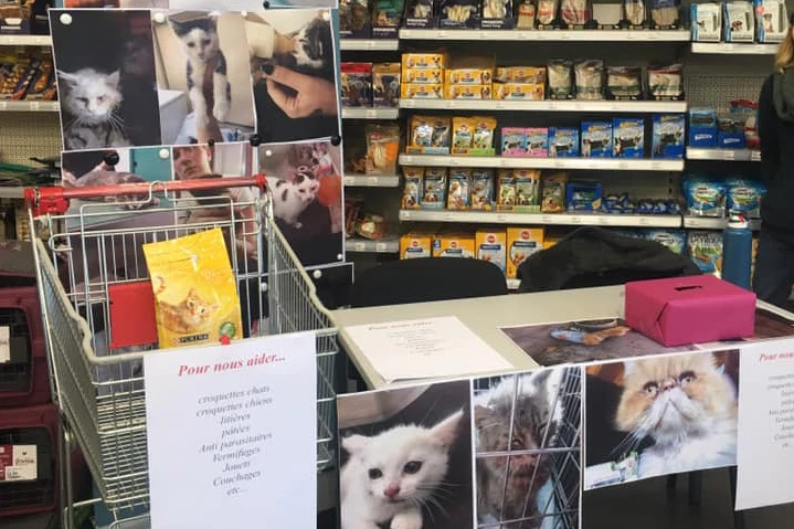 Dons association protection animale